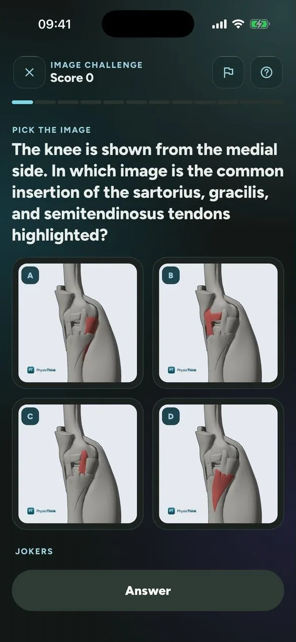 PhysioThink Image Challenge question